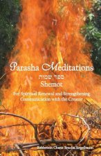 Parasha Meditations: Shemot - Internalizing Healing Transformation: For Spiritual Renewal and Strengthening Communication with the Creator