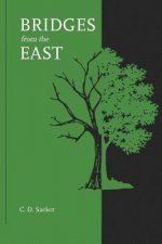 Bridges from the East: A novel about eastern religions