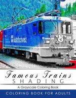 Famous Train Shading Volume 2: Train Grayscale coloring books for adults Relaxation Art Therapy for Busy People (Adult Coloring Books Series, graysca