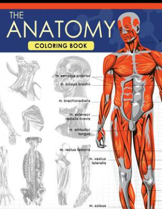 The Anatomy Coloring Book: A Complete Study Guide (9th Edition)