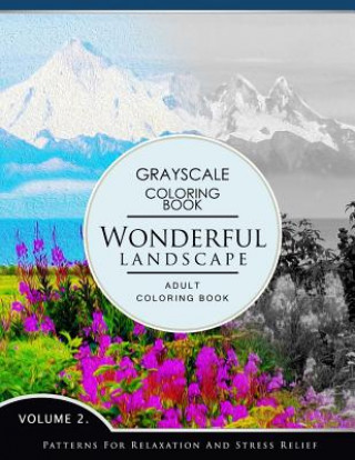 Wonderful Landscape Volume 2: Grayscale coloring books for adults Relaxation (Adult Coloring Books Series, grayscale fantasy coloring books)