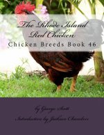 The Rhode Island Red Chicken: Chicken Breeds Book 46