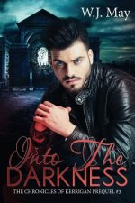 Into the Darkness: paranormal fantasy romance