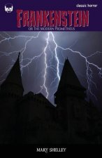 Frankenstein: or the Modern Prometheus
