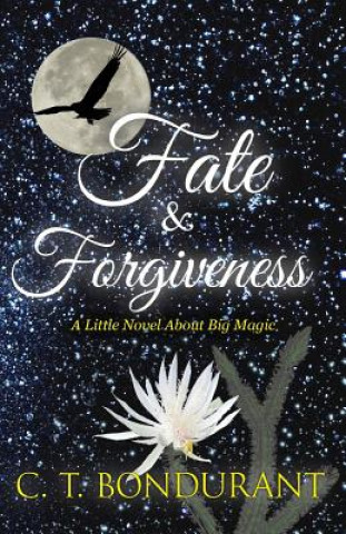 Fate & Forgiveness: A Little Novel About Big Magic
