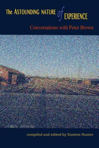 The Astounding Nature of Experience: Conversations with Peter Brown 2010 - 2013