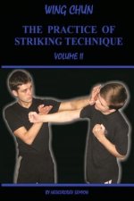 Wing chun. The practice of striking technique