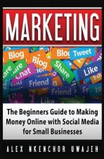 Marketing: The Beginners Guide to Making Money Online with Social Media for Small Businesses