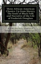 Three African- American Classics: Up from Slavery, The Souls of Black Folk and Narrative of the Life of Frederick Douglass