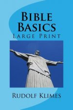 Bible Basics: Large Print Study Guide