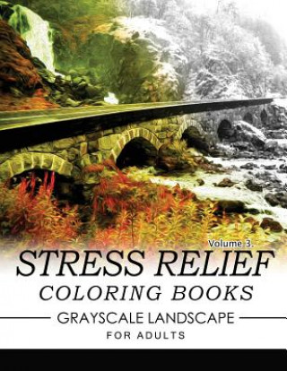 Stress Relief Coloring Books GRAYSCALE Landscape for Adults Volume 3