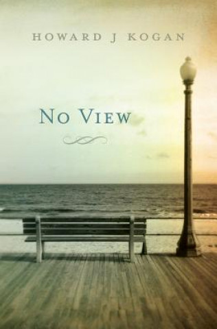 No View