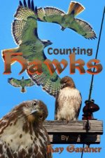 counting hawks