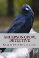 Anderson Crow Detective