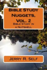 Bible Study Nuggets, Vol. 2: Bible Study in a Nutshell