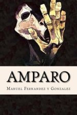 Amparo, Memorias de un Loco