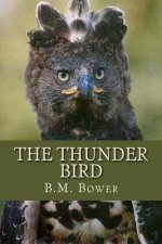 The Thunder Bird