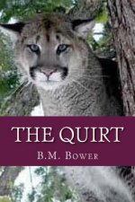 The Quirt