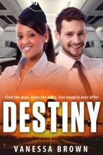 Destiny: A Billionaire Pregnancy BWWM Romance