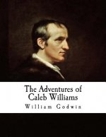 The Adventures of Caleb Williams: Things as They Are
