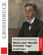 Beate und Mareile / Schwüle Tage (Großdruck): Erzählungen