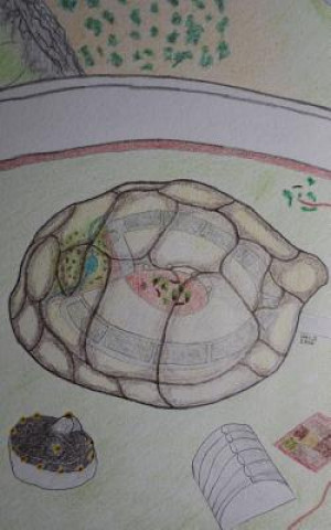 The Turtle Test