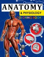 Anatomy & Physiology Coloring Book: 2nd Edtion