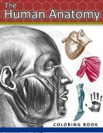 The Human Anatomy Coloring Book: 2nd Edtion