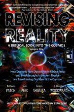 Revising Reality