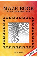 Maze Book: 20 by 20 orthogonal maze (for All ages)