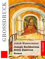 Joseph Kerkhovens dritte Existenz (Großdruck): Roman