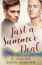 Just a Summer Deal