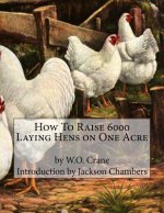 How To Raise 6000 Laying Hens on One Acre