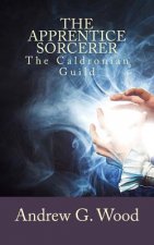 The Apprentice Sorcerer: The Caldronian Guild