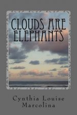 Clouds Are Elephants