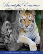 Beautiful Creatures: Lions, Tigers & Leopards