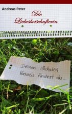 Die Liebesbotschafterin: Pocketformat