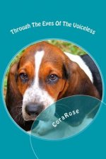Through the Eyes of the Voiceless: Tales Given Through the Unexpected Point of Views
