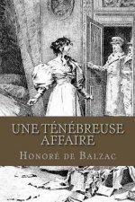 Une tenebreuse affaire