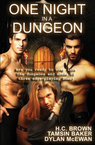 One Night in a Dungeon: Anthology