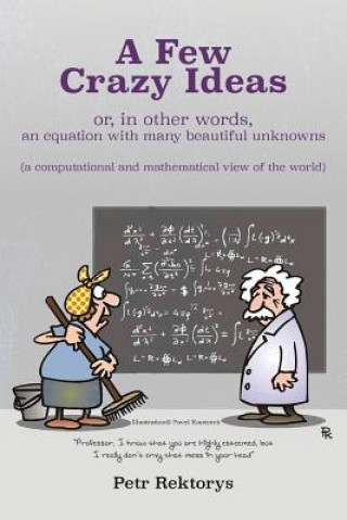 A Few Crazy Ideas: or, in other words, an equation with many beautiful unknowns (a computational and mathematical view of the world)