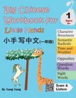 Big Chinese Workbook for Little Hands, Level 1