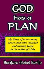 God has a plan: My story of overcoming abuse, domestic violence and finding hope in the midst of trials