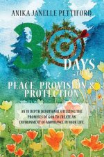 30 Days to Peace, Provision and Protection: An in-depth Devotional
