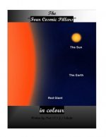 The Four Cosmic Pillars in colour