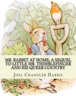 Mr. Rabbit at home; a sequel to Little Mr. Thimblefinger and his queer country: By: Joel Chandler Harris, illustrations By: Oliver Herford(1863-1935)