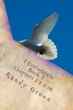 1 Corinthians Book I: Chapters 1:1-2:16: Volume 12 of Heavenly Citizens in Earthly Shoes, An Exposition of the Scriptures for Disciples and