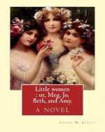 Little women: or, Meg, Jo, Beth, and Amy. By: Louisa M. Alcott: with more than 200 illustrations By: Frank T.(Thayer) Merrill (1848-