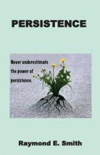 Persistence