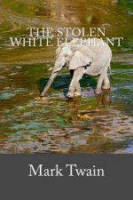The Stolen White Elephant